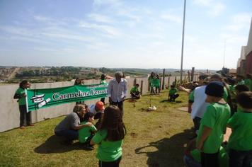 Escolas de Arapoti participam de aÃ§Ã£o global de plantio de Ã¡rvores