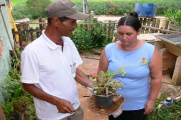 Com o calor, cuidados contra Dengue devem redobrar