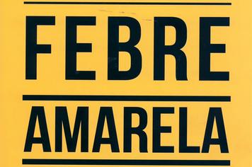 Febre Amarela: verifique se vocÃª estÃ¡ vacinado contra a doenÃ§a