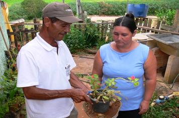 Controle de endemias faz alerta sobre a dengue