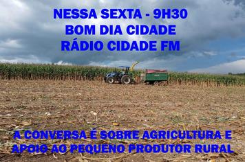 Agricultura estará em pauta no Bom Dia Cidade dessa sexta (12)