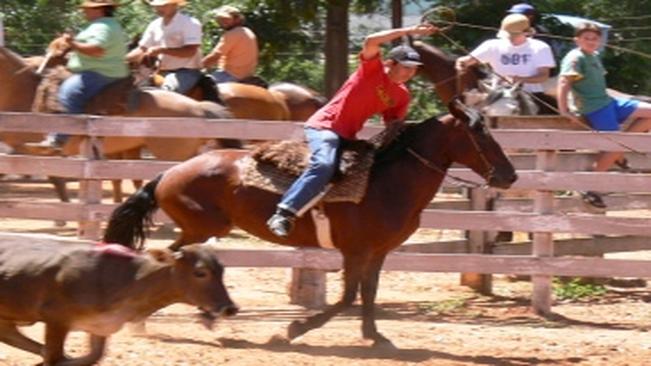30Â° Rodeio Crioulo Interestadual Ã© neste fim de semana