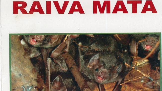 Produtores rurais e donos de animais domÃ©sticos devem estar atentos Ã  vacinaÃ§Ã£o contra raiva