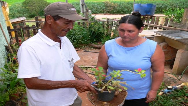 Controle de endemias faz alerta sobre a dengue