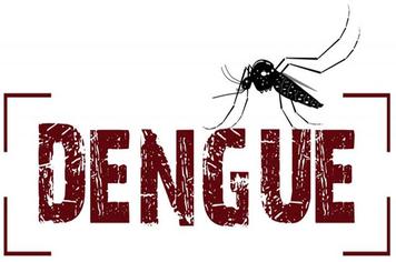 A dengue mata. Colabore na prevenÃ§Ã£o!