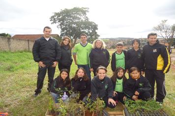 Duzentos e cinquenta novas Ã¡rvores serÃ£o plantadas na cidade